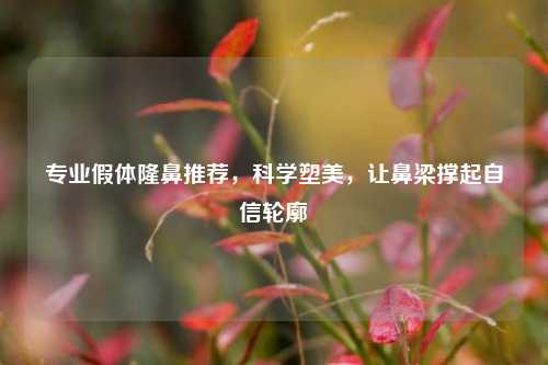 专业假体隆鼻推荐,科学塑美,让鼻梁撑起自信轮廓