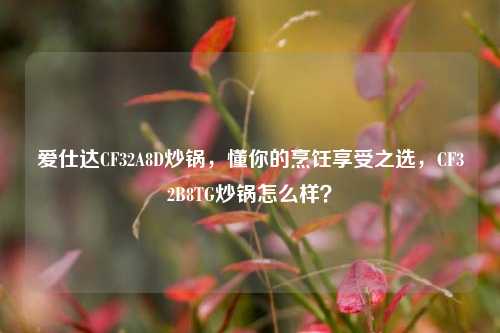 爱仕达CF32A8D炒锅，懂你的烹饪享受之选，CF32B8TG炒锅怎么样？