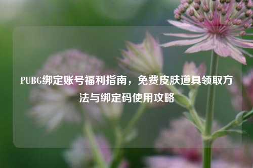 PUBG绑定账号福利指南,免费皮肤道具领取 与绑定码使用攻略