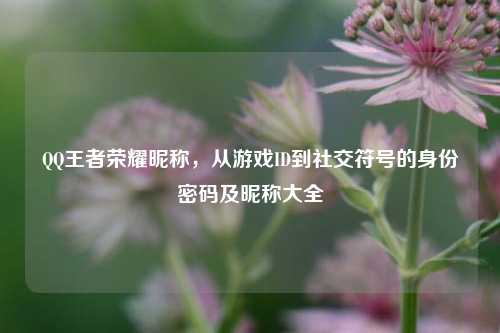 王者荣耀昵称,从游戏ID到社交符号的身份密码及昵称大全