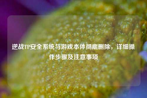 逆战TP安全系统与游戏本体彻底删除,详细操作步骤及注意事项