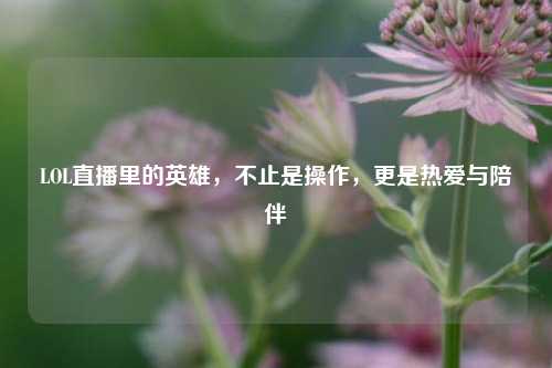 LOL直播里的英雄,不止是操作,更是热爱与陪伴