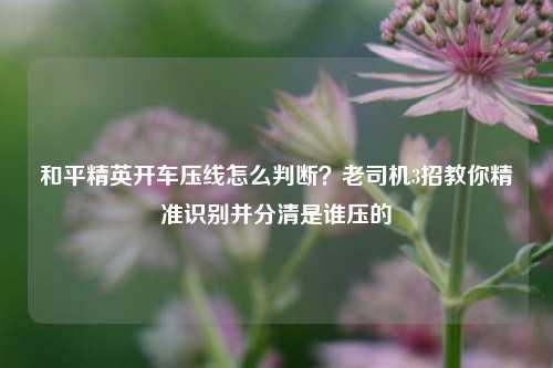 和平精英开车压线怎么判断?老司机3招教你精准识别并分清是谁压的