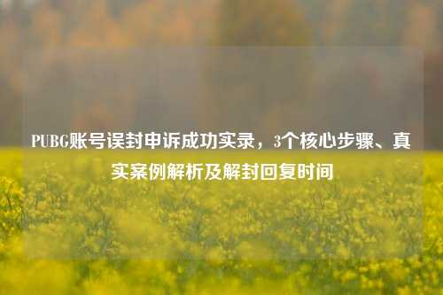 PUBG账号误封申诉成功实录,3个核心步骤、真实案例解析及解封回复时间