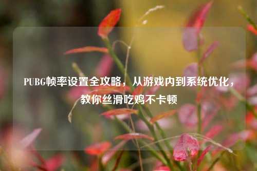 PUBG帧率设置全攻略,从游戏内到系统优化,教你丝滑吃鸡不卡顿