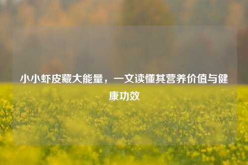 小小虾皮藏大能量,一文读懂其营养价值与健康功效