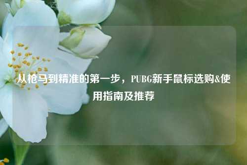 从枪马到精准的之一步，PUBG新手鼠标选购&使用指南及推荐
