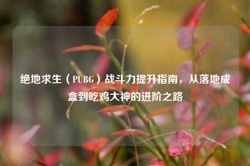 绝地求生(PUBG)战斗力提升指南,从落地成盒到吃鸡大神的进阶之路