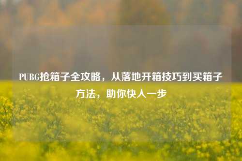 PUBG抢箱子全攻略,从落地开箱技巧到买箱子 ,助你快人一步