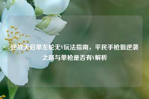 逆战天启单左轮无V玩法指南,平民手枪狙逆袭之路与单枪是否有V解析