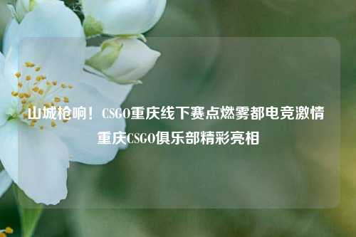 山城枪响!CSGO重庆线下赛点燃雾都电竞 重庆CSGO俱乐部精彩亮相