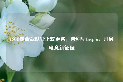 CSGO传奇战队VP正式更名，告别Virtus.pro，开启电竞新征程