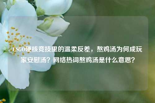 CSGO硬核竞技里的温柔反差,熬鸡汤为何成玩家安慰汤? 热词熬鸡汤是什么意思?