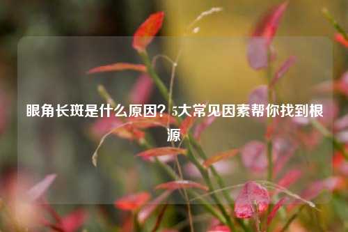 眼角长斑是什么原因?5大常见因素帮你找到根源