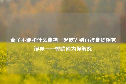 茄子不能和什么食物一起吃?别再被食物相克误导——香哈网为你解惑
