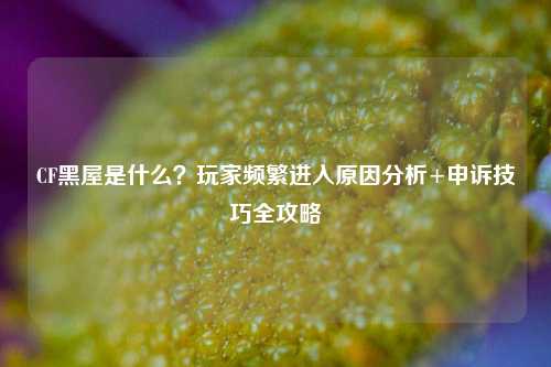CF黑屋是什么?玩家频繁进入原因分析+申诉技巧全攻略