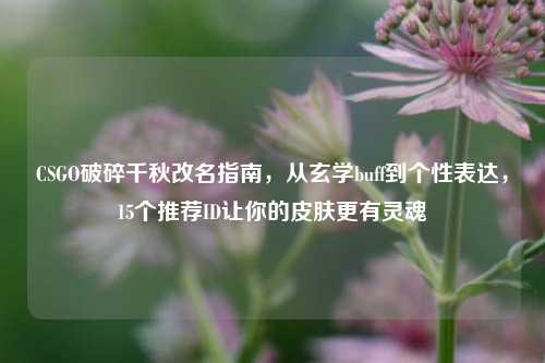 CSGO破碎千秋改名指南,从玄学buff到个性表达,15个推荐ID让你的皮肤更有灵魂