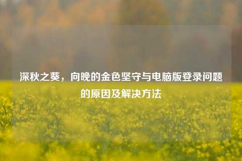 深秋之葵，向晚的金色坚守与电脑版登录问题的原因及解决方法