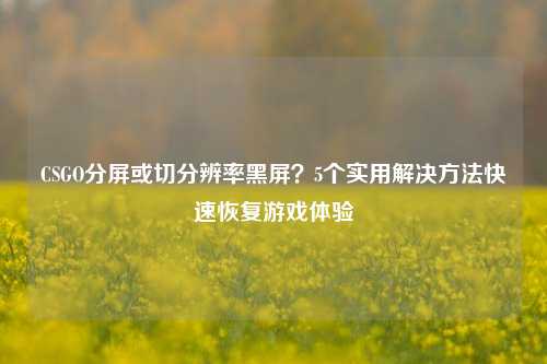 CSGO分屏或切分辨率黑屏?5个实用解决 快速恢复游戏体验