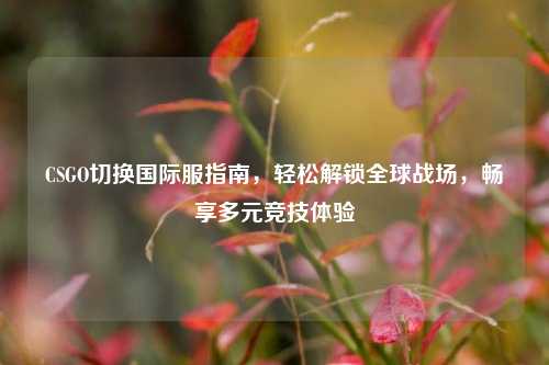 CSGO切换国际服指南,轻松解锁全球战场,畅享多元竞技体验