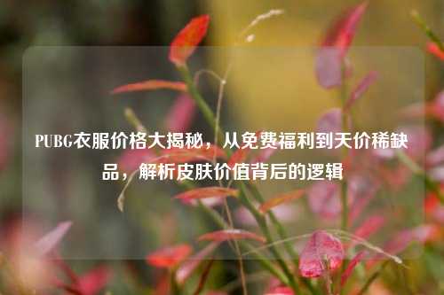PUBG衣服价格大揭秘,从免费福利到天价稀缺品,解析皮肤价值背后的逻辑