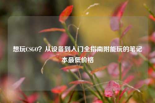 想玩CSGO?从设备到入门全指南附能玩的笔记本更低价格