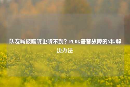 队友喊破喉咙也听不到?PUBG语音故障的N种解决办法