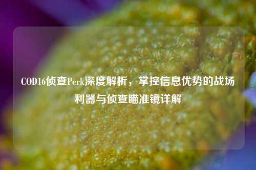 COD16侦查Perk深度解析,掌控信息优势的战场利器与侦查瞄准镜详解