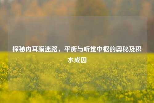 探秘内耳膜迷路,平衡与听觉中枢的奥秘及积水成因