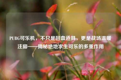 PUBG可乐机,不只是回血道具,更是战场温暖注脚——揭秘绝地求生可乐的多重作用