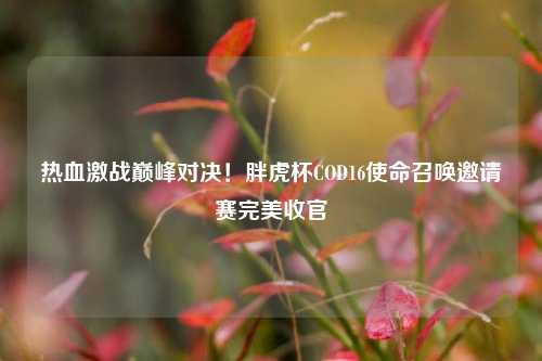 热血激战巅峰对决!胖虎杯COD16使命召唤邀请赛完美收官