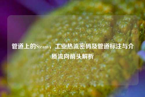 管道上的Steam，工业热流密码及管道标注与介质流向箭头解析