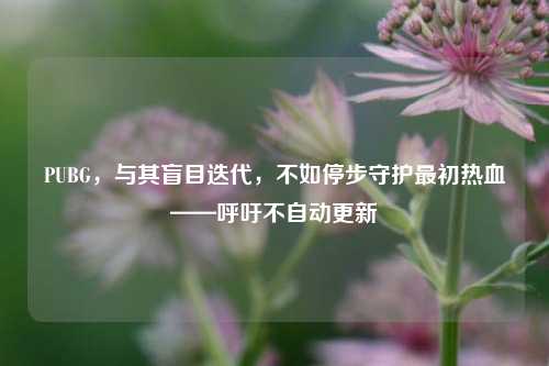 PUBG,与其盲目迭代,不如停步守护最初热血——呼吁不自动更新