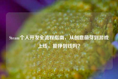 Steam个人开发全流程指南,从创意萌芽到游戏上线,能挣到钱吗?
