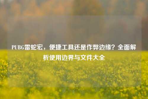 PUBG雷蛇宏,便捷工具还是作弊边缘?全面解析使用边界与文件大全