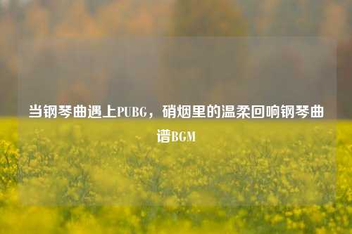 当钢琴曲遇上PUBG,硝烟里的温柔回响钢琴曲谱BGM
