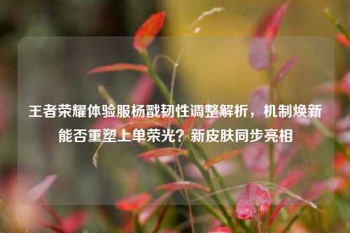 王者荣耀体验服杨戬韧性调整解析,机制焕新能否重塑上单荣光?新皮肤同步亮相