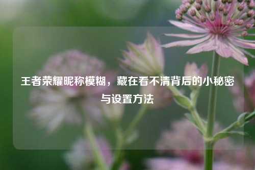 王者荣耀昵称模糊,藏在看不清背后的小秘密与设置