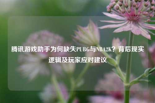 腾讯游戏助手为何缺失PUBG与NBA2K?背后现实逻辑及玩家应对建议