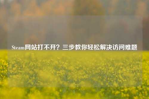 Steam网站打不开?三步教你轻松解决访问难题