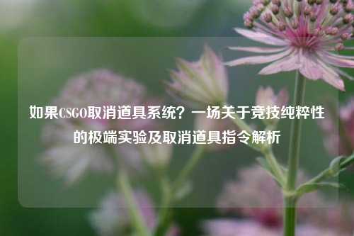 如果CSGO取消道具系统?一场关于竞技纯粹性的极端实验及取消道具指令解析