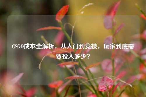 CSGO成本全解析,从入门到竞技,玩家到底需要投入多少?