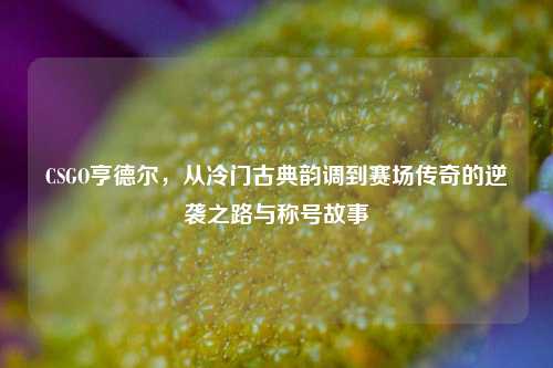 CSGO亨德尔,从冷门古典韵调到赛场传奇的逆袭之路与称号故事