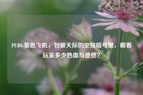 PUBG紫色飞机，划破天际的空投暗号里，藏着玩家多少热血与遗憾？