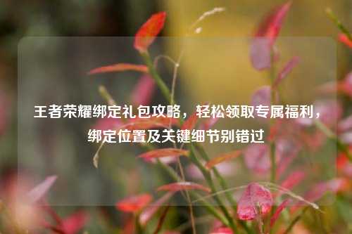 王者荣耀绑定礼包攻略,轻松领取专属福利,绑定位置及关键细节别错过