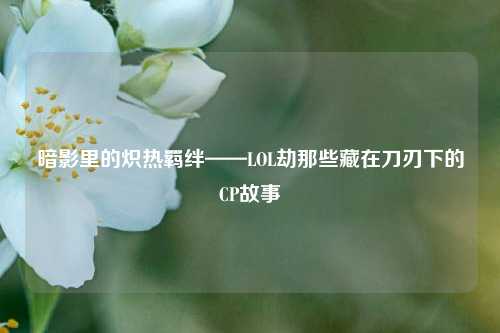 暗影里的炽热羁绊——LOL劫那些藏在刀刃下的CP故事