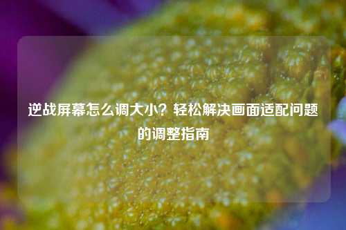 逆战屏幕怎么调大小?轻松解决画面适配问题的调整指南