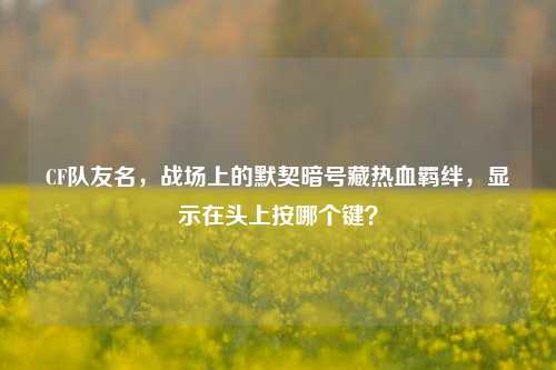 CF队友名，战场上的默契暗号藏热血羁绊，显示在头上按哪个键？