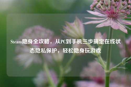 Steam隐身全攻略,从PC到手机三步搞定在线状态隐私保护,轻松隐身玩游戏