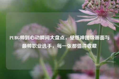 PUBG帅到心动瞬间大盘点,壁纸神图级画面与最帅职业选手,每一张都值得收藏